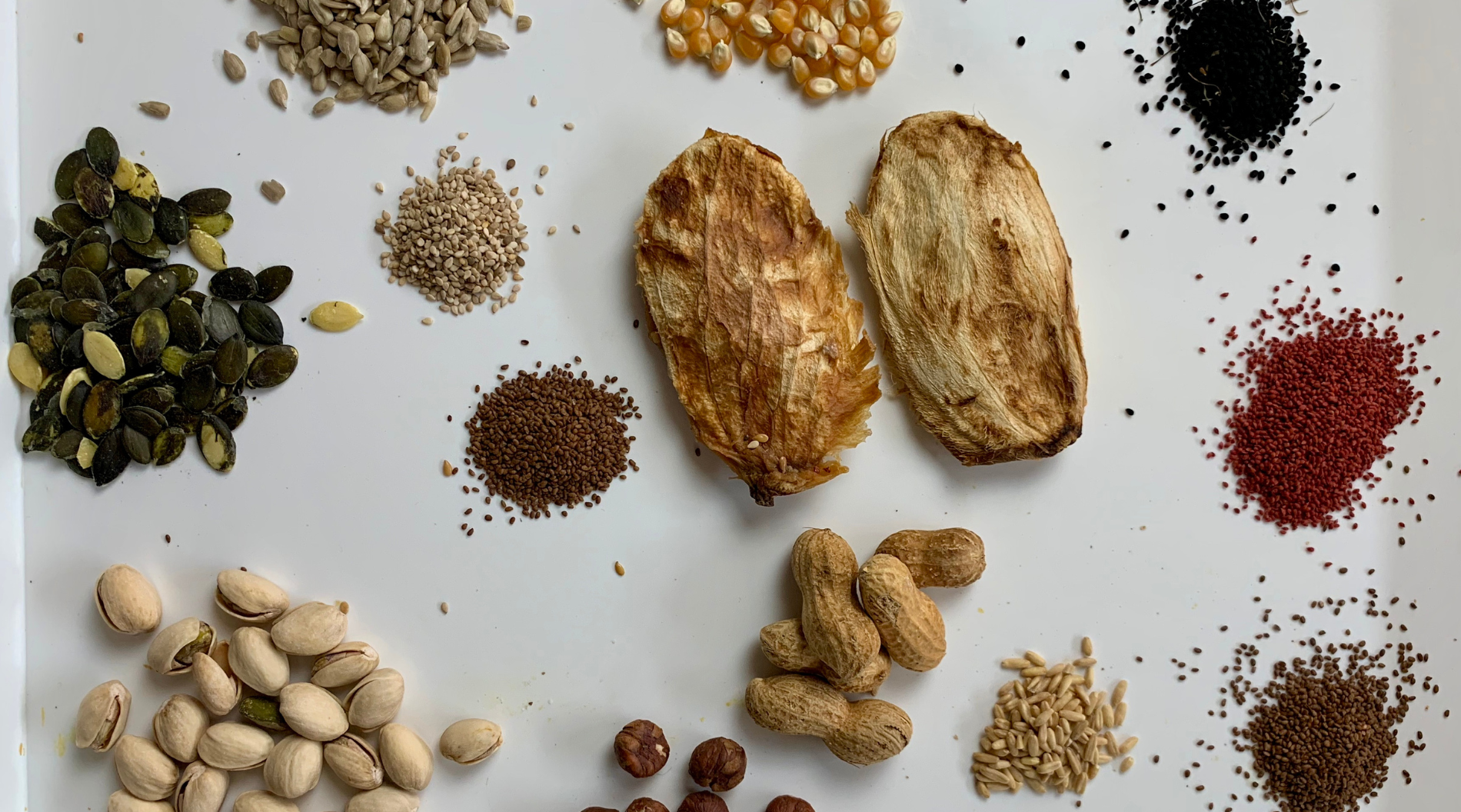 Seeds